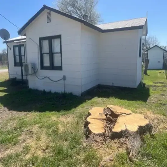 A stump before grinding in Austin, TX