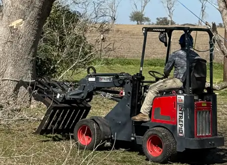 Tree Service in Hays County A team member during tree service in Hays County, TX